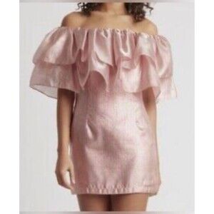 NWT Choosy Copper Rose Organza Dress - NWT Pink Shimmer - Size XS
